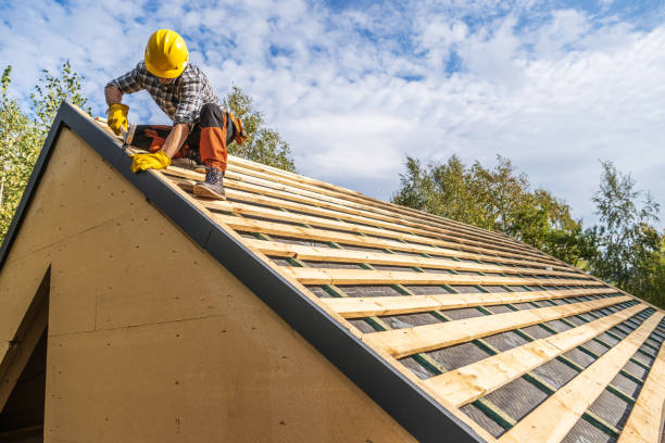 Best Roof Gutter Cleaning  in Sidney, OH